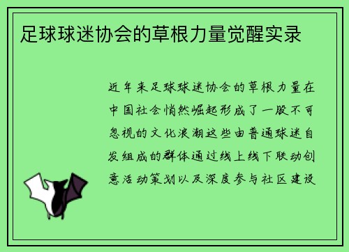 足球球迷协会的草根力量觉醒实录